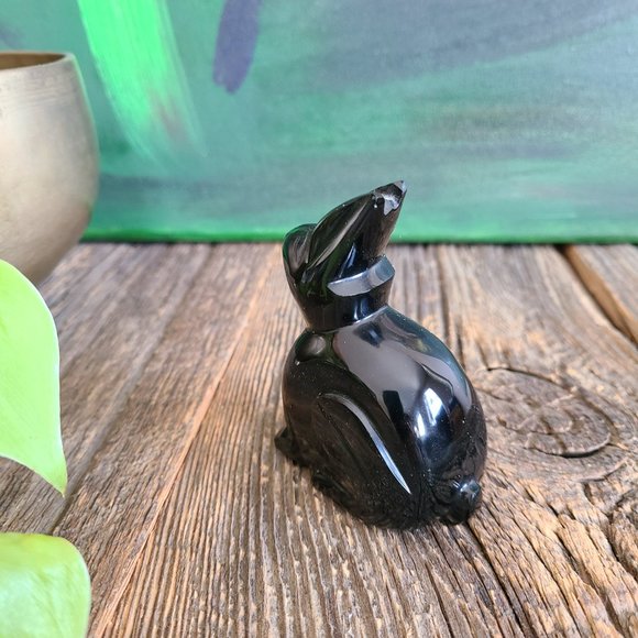 Black Onyx bunny rabbit. - Picture 5 of 6